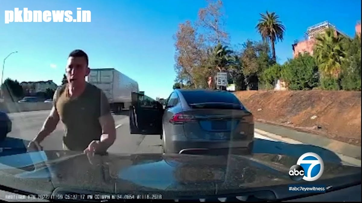 Who Is Nathaniel Radimak? Arrested Tesla Driver, Suspected In Road Rage ...