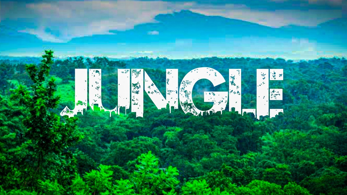 Urban Jungle Font CapCut Template